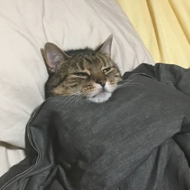 framesjanco's collection Bandcamp