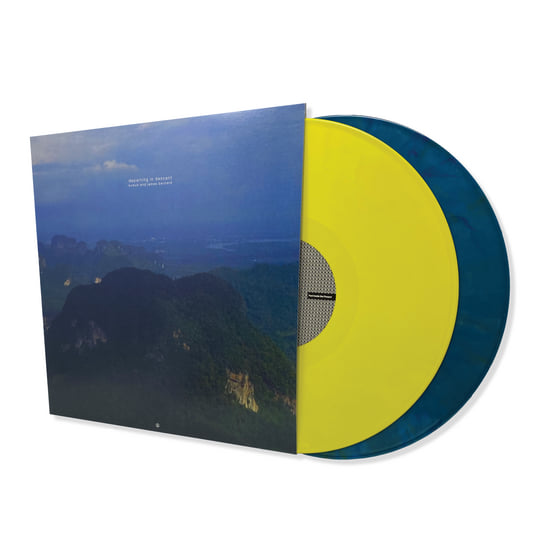 Departing In Descent | bvdub & James Bernard | Past Inside the Present