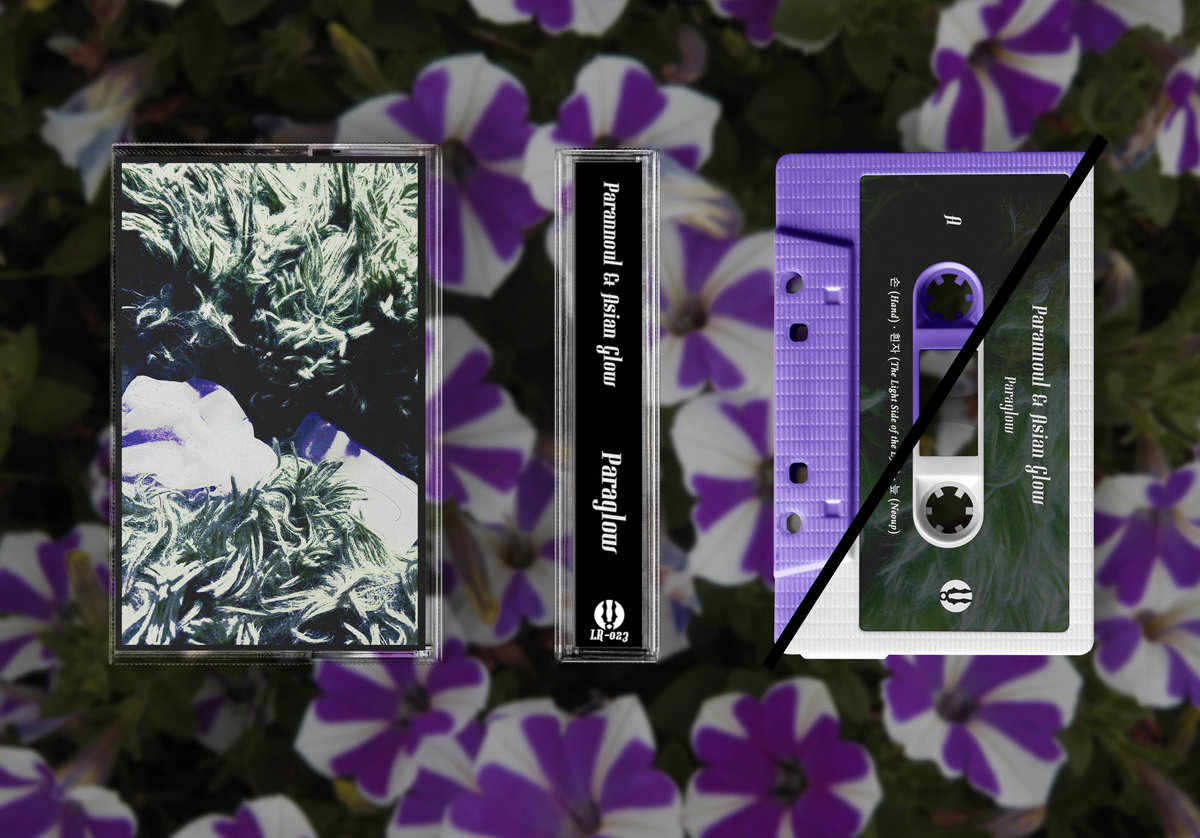 Paraglow | Parannoul & Asian Glow