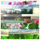 swensej thumbnail