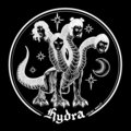 Hydra hxc image