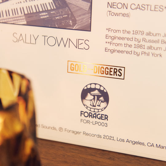 米LP Roberta Vandervort &amp; Sally Tow Roberta Vandervort &amp; Sally Townes FORLP003 Forager Records 未開封 /00260 Roberta Vandervort & Sally Townes | Forager Records
