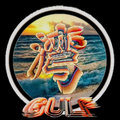 Gulf Audio Company image