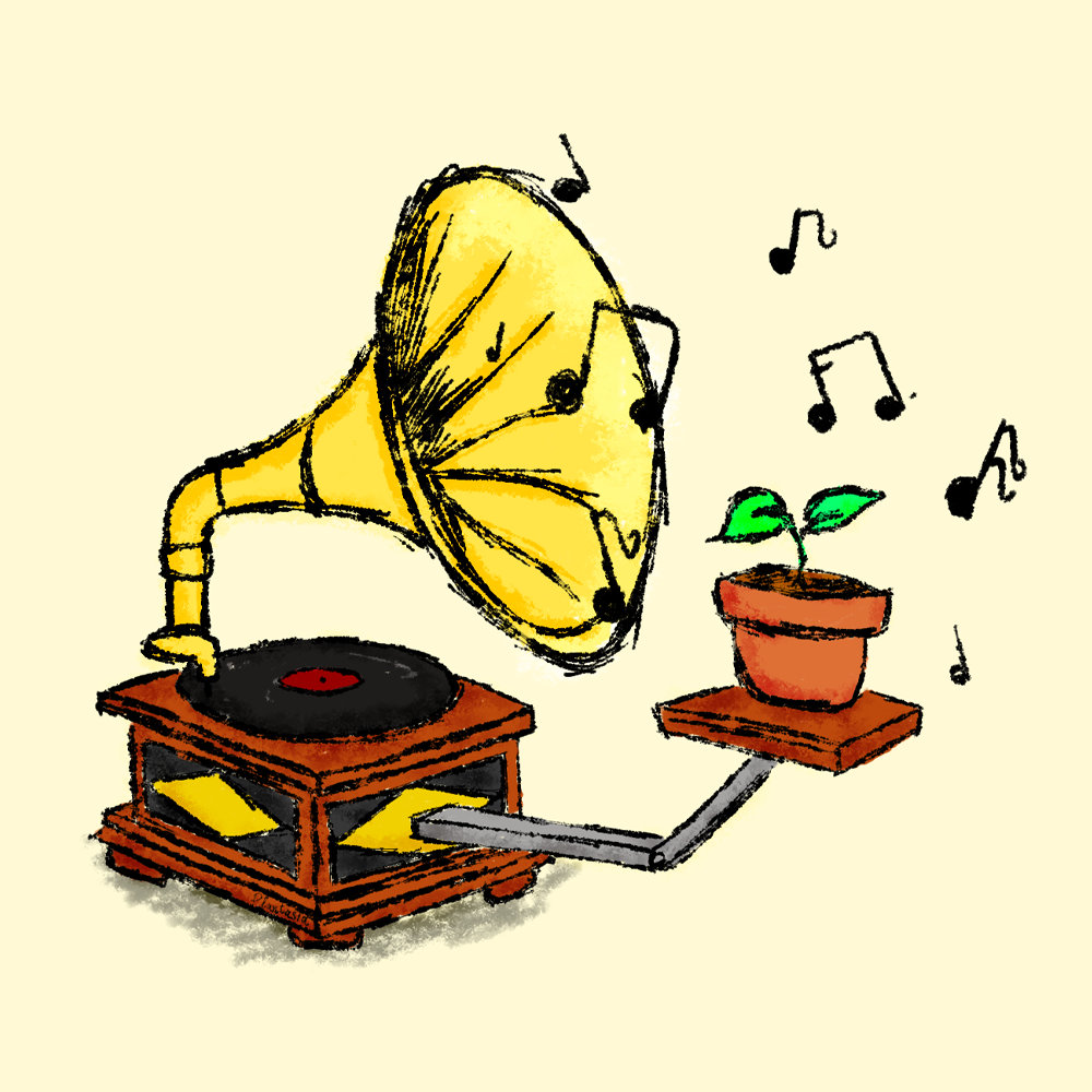 merch-plantasia-records