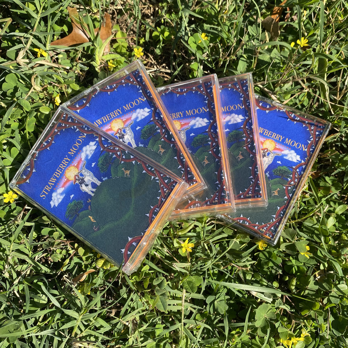 Habitual Creatures | Strawberry Moon | Sockhead Records