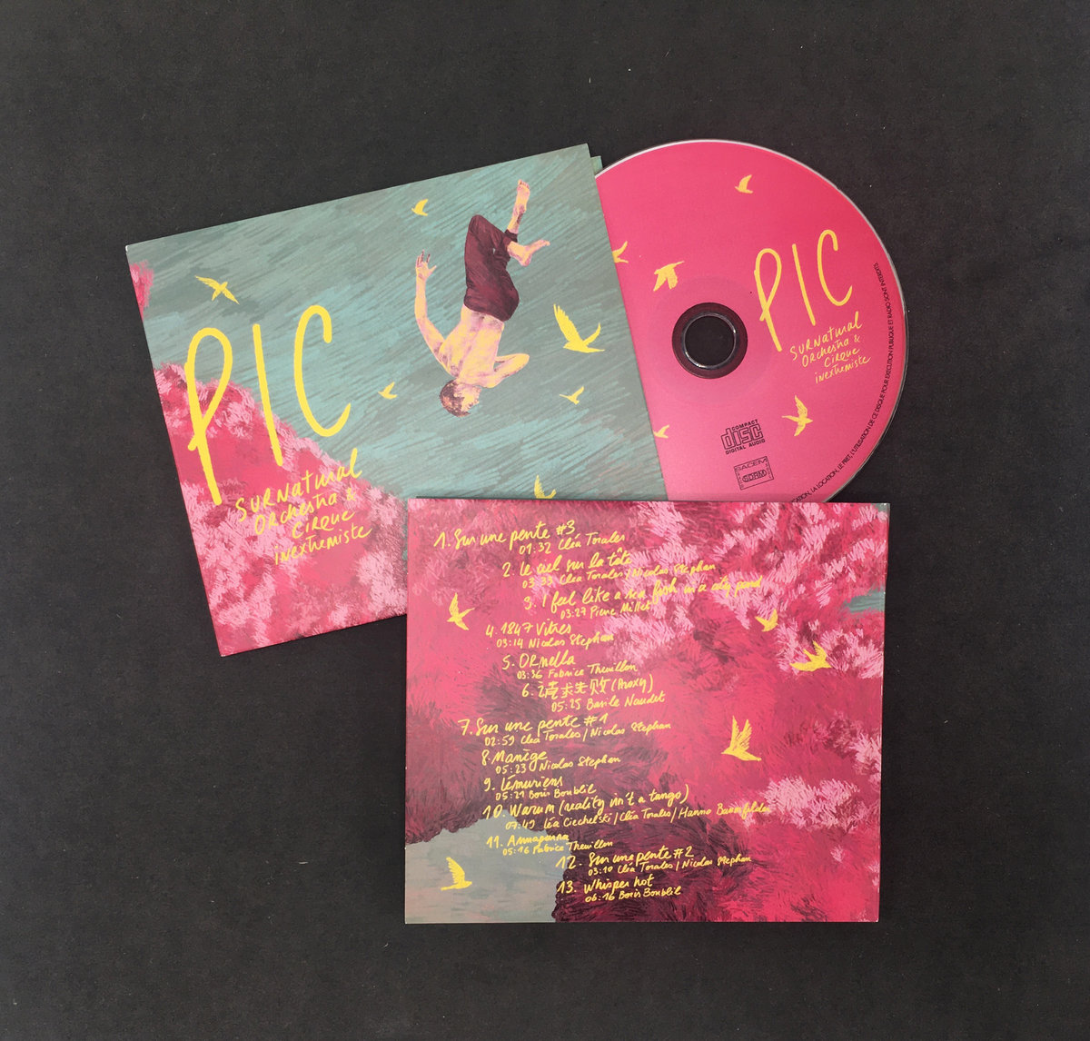 Pic Surnatural Orchestra