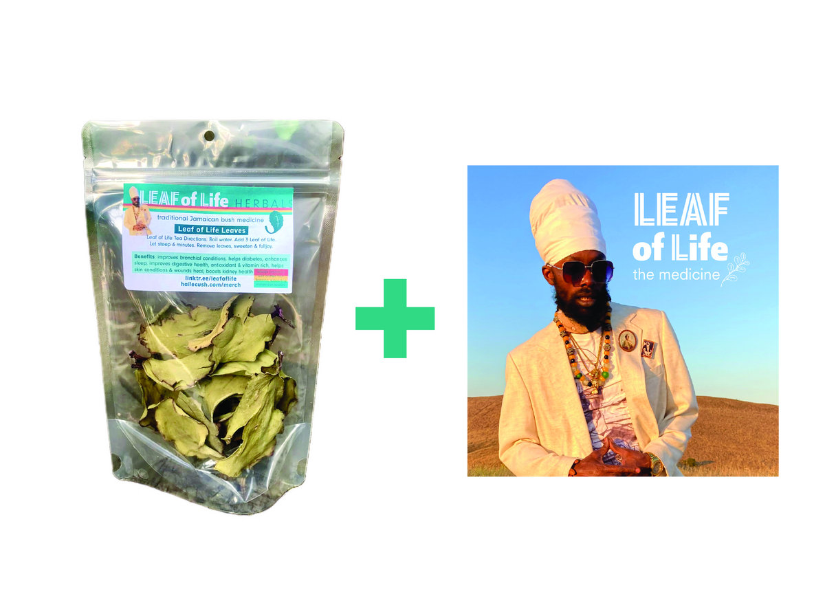 The Medicine Bundle Leaf of Life