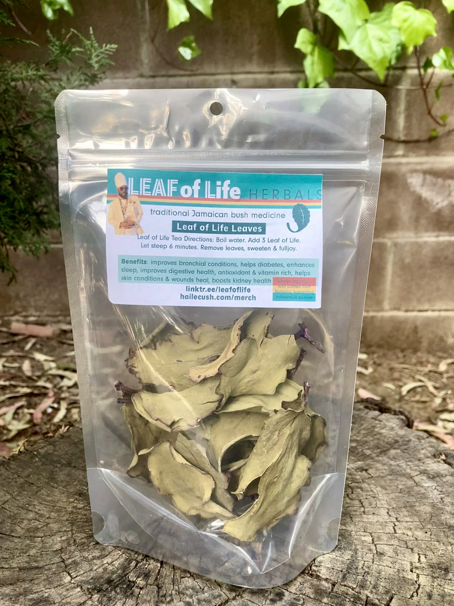 The Medicine Bundle Leaf of Life