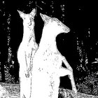 Sadie thumbnail