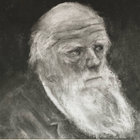 Maayan Mazor thumbnail