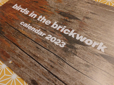 Birds in the Brickwork Calendar 2023 main photo