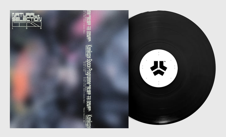 The mist/…ashes to ashes,dust to dust… Ashes To Ashes, Dust To Dust EP | Kamikaze Space Programme