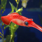 squuidink thumbnail