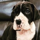 Love Heart Cheat Code | Hiatus Kaiyote