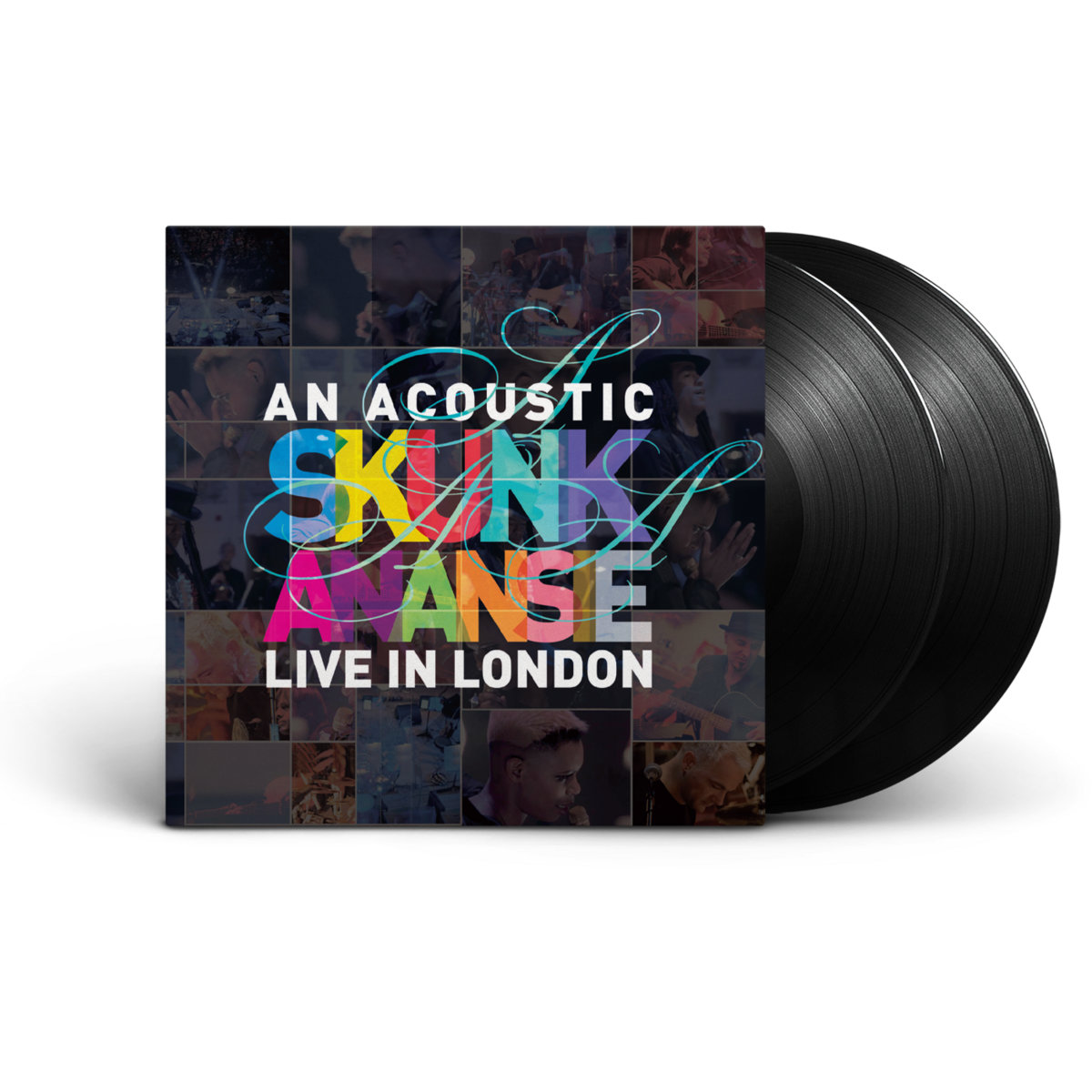 An Acoustic Skunk Anansie | Skunk Anansie