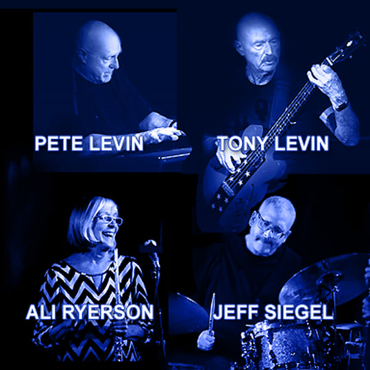 Fade To Blue | The Levin Brothers, with special guest Ali Ryerson