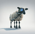 Android Sheep image