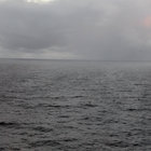 FOG thumbnail