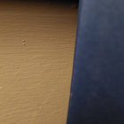 dan thumbnail