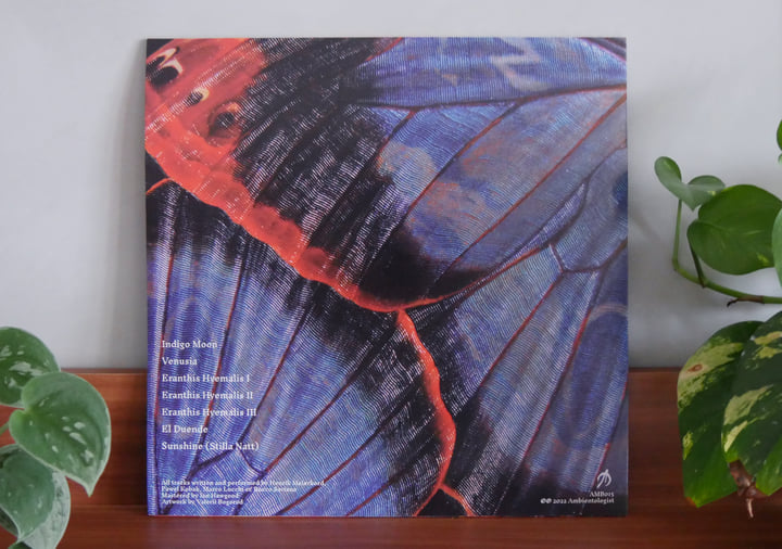 Venusia | Henrik Meierkord, Pawel Kobak, Marco Lucchi
