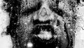 Holeteeth image