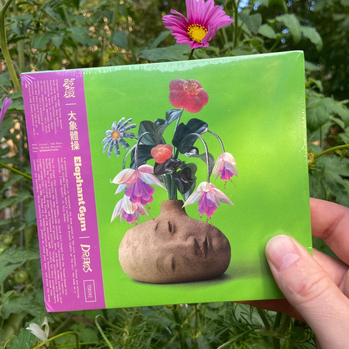 Elephant Gym直筆サイン入り「Dreams」／エレファントジム Dreams | Elephant Gym