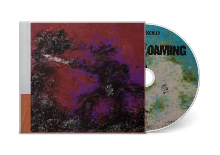 Spirit Roaming | AKAI SOLO