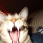 qej thumbnail