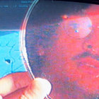 msturkey thumbnail