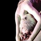 rendeb33 thumbnail