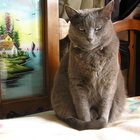 sosylvie thumbnail