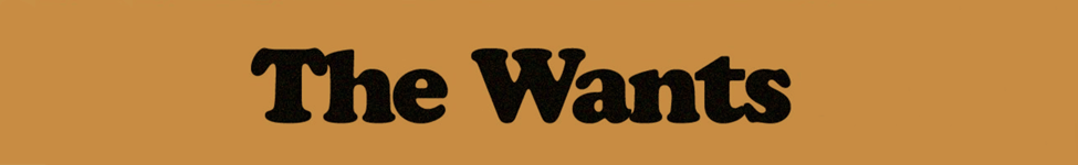 The Wants — Photo