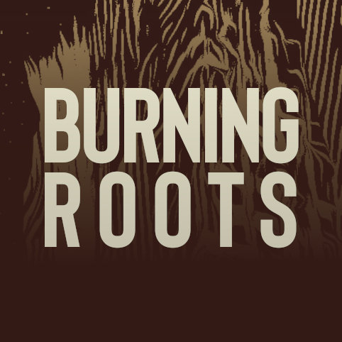 Black Hole | Burning Roots