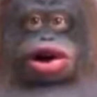 stannymcc thumbnail
