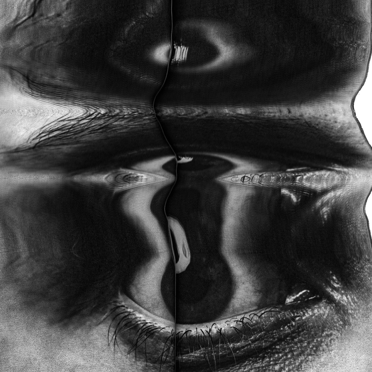 Bats in The Attic atik