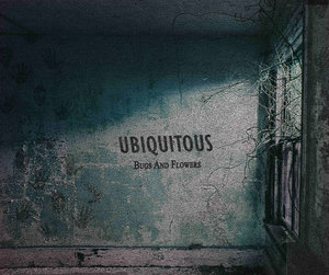 Music | Ubiquitous