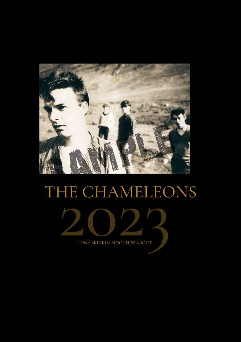 the chameleons us tour 2023