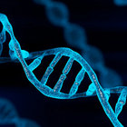 DNA thumbnail