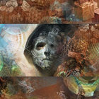 Dean Koonin thumbnail
