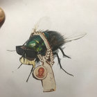 1/2 Bad Trip thumbnail