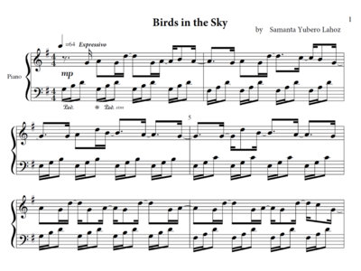 Birds in the Sky - Piano Sheet main photo
