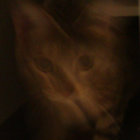 panko_crusted thumbnail