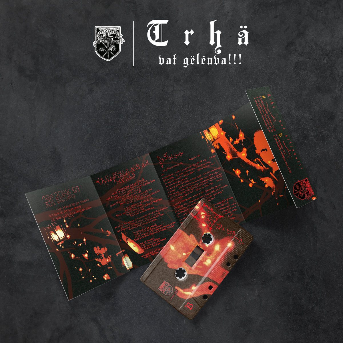 grafalex's collection | Bandcamp