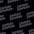 Sandro Zampera image