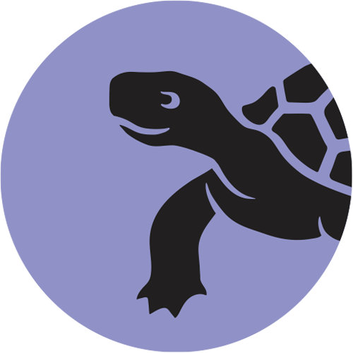 Music Turtle Bay Records