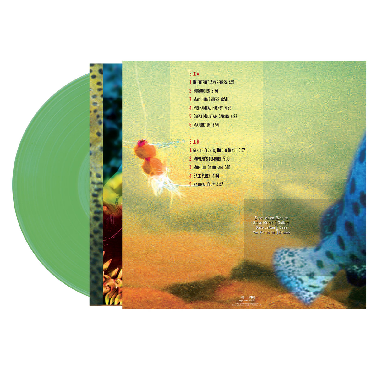 THE LET'S GO's ×THE AUTOCRATICS split EP THE AUTOCRATICS - SKARAMANGA / split【RECORD】 | RECORD,2-TONE