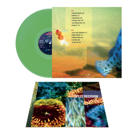 GREG MATHIESON,新品未開封,紙ジャケ,STEVE LUKATHER GREG MATHIESON,新品未開封,紙ジャケ,STEVE LUKATHER GREG MATHIESON