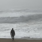 Orca9 thumbnail