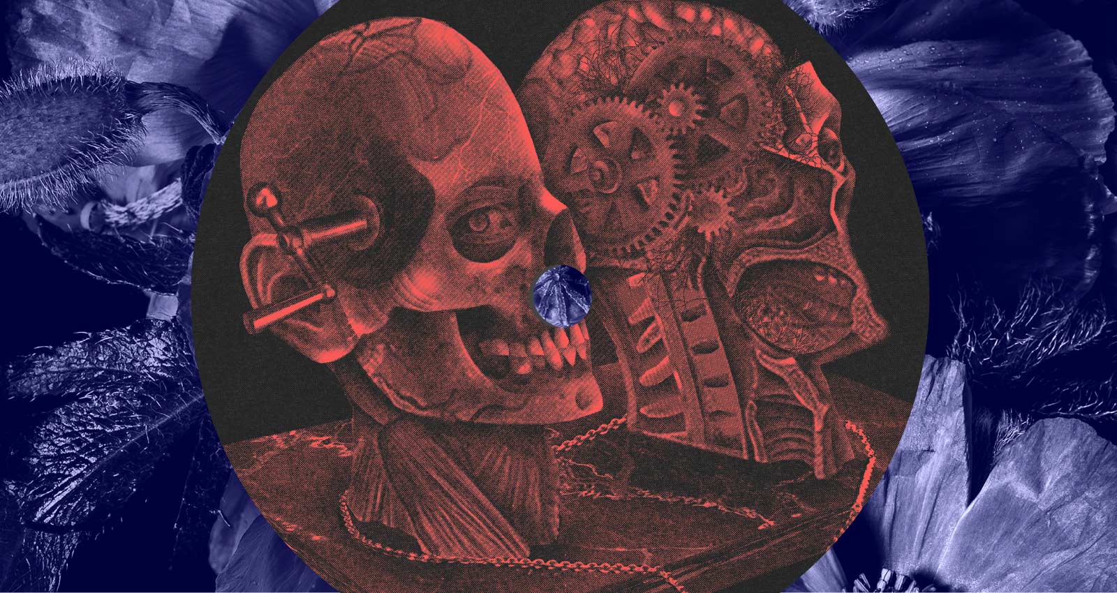 Armageddon Records Helps Keeps New England's Punk Flame | Bandcamp