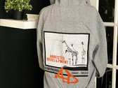 A.D. Logo with Giraffe Graphic on Back Heather Grey Hoodie photo 